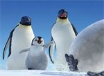 Пингвины в поисках (онлайн)