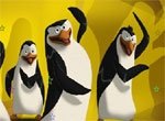 Пингвины как звезды (онлайн)