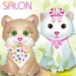 Салон красоты для котят (онлайн)
