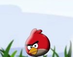      (Angry Bird Bouncing Ball)