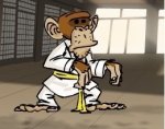     (Karate Monkey)