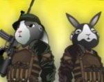   (Rabbit Sniper)