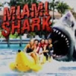      (Miami Shark) ()