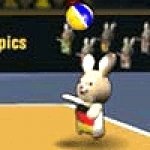   2012 (2012 Bunnylimpics Volleyball) ()