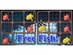   Free fish