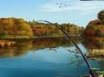 Осенняя рыбалка (онлайн)