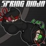     (Spring Ninja) ()