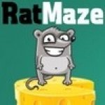      (Rat Maze) ()