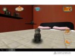 Cat simulator - 3- 