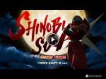   Shinobi sun: ninjafighter