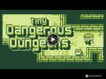Tiny dangerous dungeons