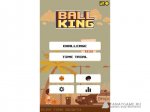 Ball king - 5- 