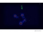 Microcosmum: survival of cells - 3- 