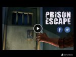   Prison escape puzzle