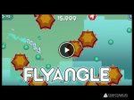   Flyangle