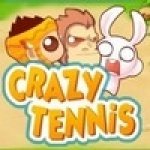     (Crazy Tennis) ()